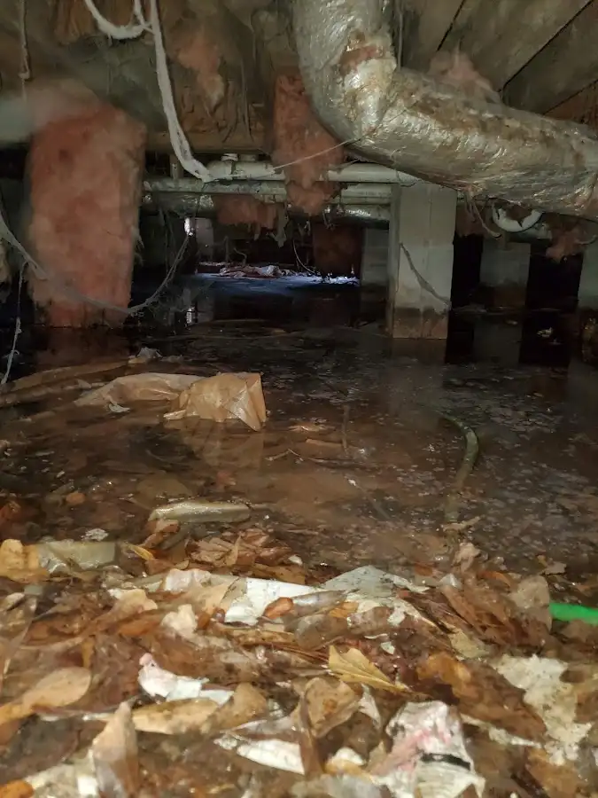 Crawl space flood assessment for Leak Detection & Repair in Summit View