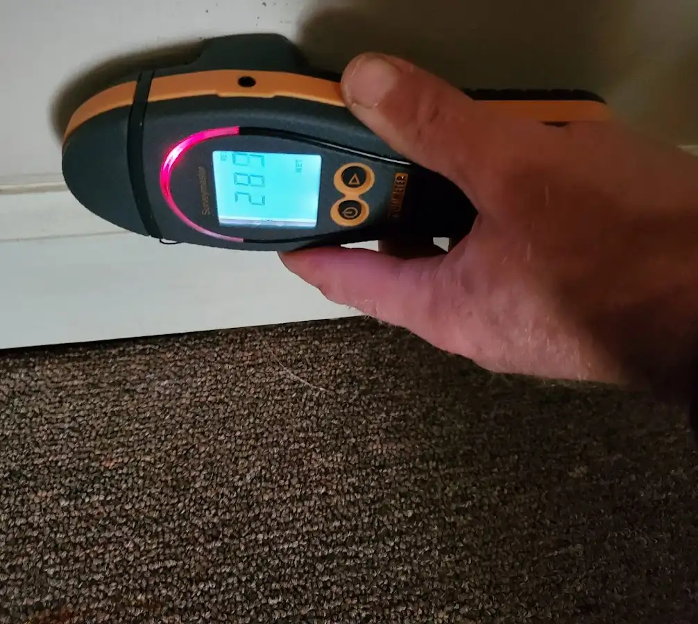 Moisture detection at baseboard during Sewage Cleanup & Sanitation in Summit View